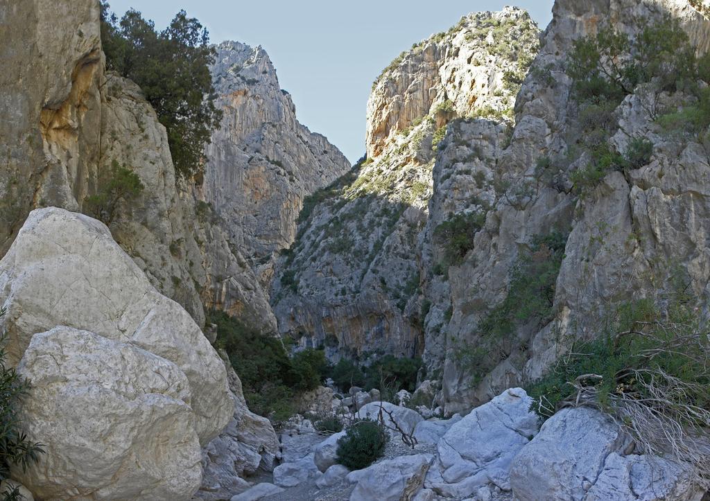 Appartamento Gli Ontani Cala Liberotto Habitación foto